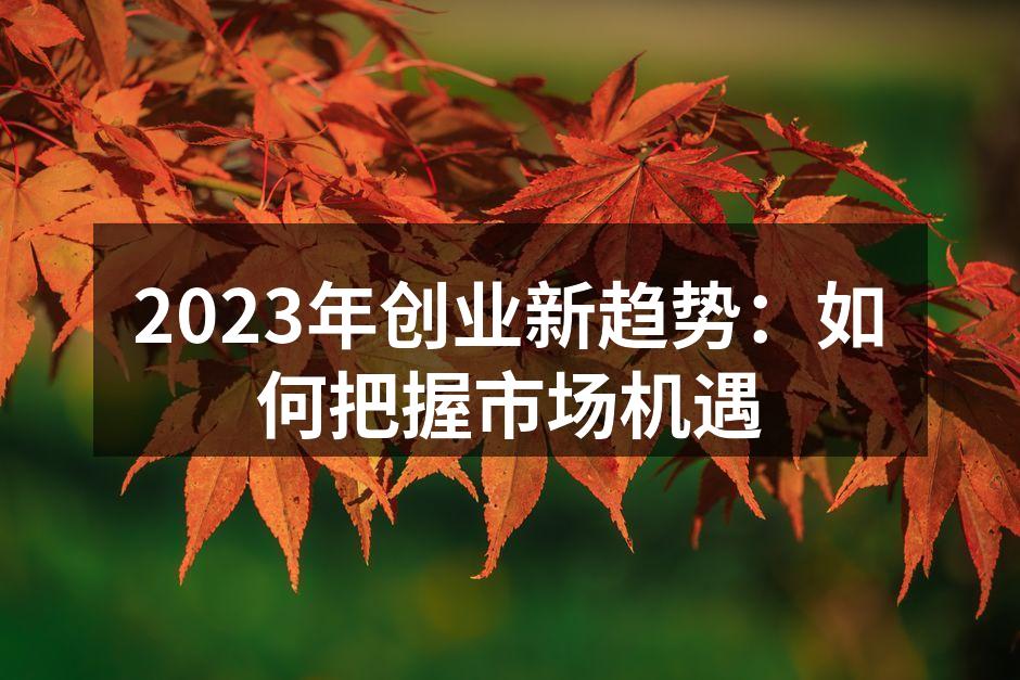 2023年创业新趋势：如何把握市场机遇